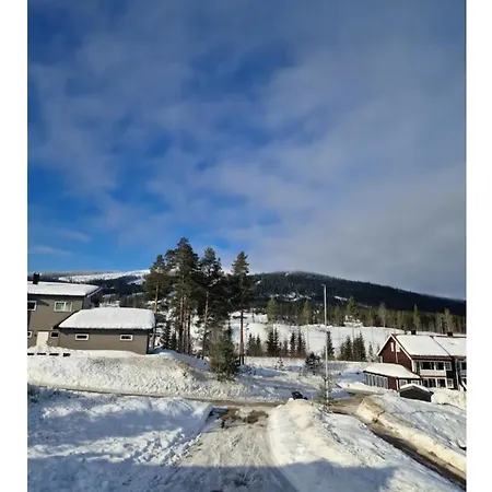 Leilighet Trysil 豪华全新小木屋住宿