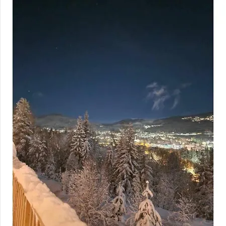 Trysil 豪华全新小木屋住宿 *
