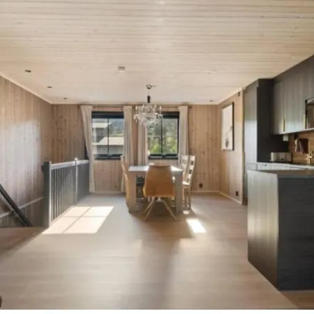Trysil 豪华全新小木屋住宿 Leilighet