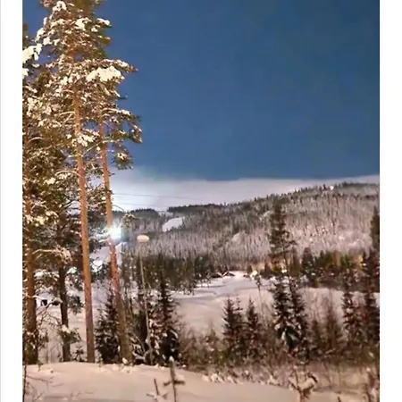 Trysil 豪华全新小木屋住宿 * Nybergsund