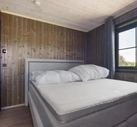 Trysil 豪华全新小木屋住宿 Nybergsund